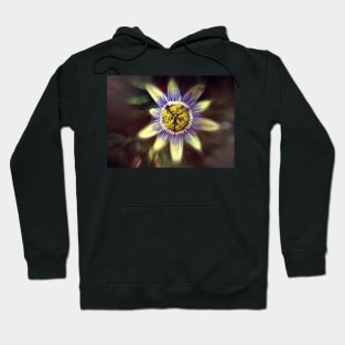 Passiflora Hoodie